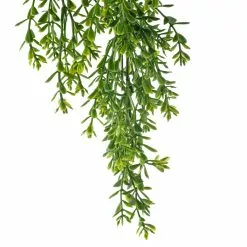 Coupon 👏 12 Pack: Green Boxwood Bush by Ashland® ✨ -Ashland Sale Store 10627315 20 1