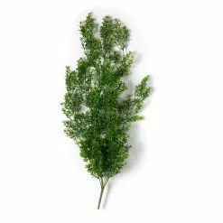 Coupon 👏 12 Pack: Green Boxwood Bush by Ashland® ✨