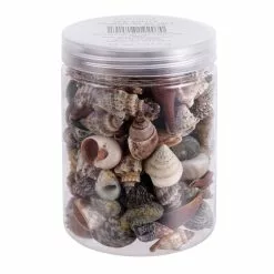 Top 10 ✨ Natural Small Sea Shell Mix by Ashland® 🥰 -Ashland Sale Store 10627359 1