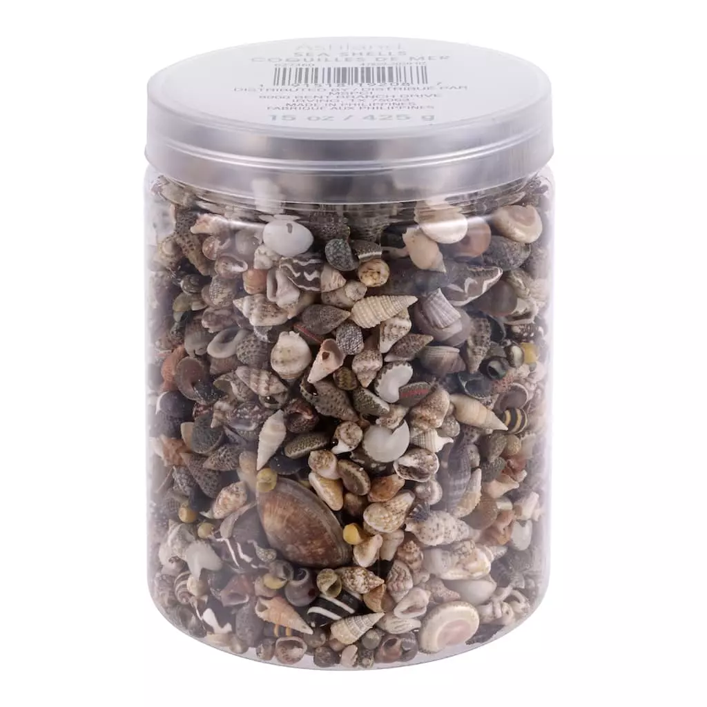 Wholesale 🛒 Natural Extra Small Sea Shell Mix by Ashland® 🎁 5 Wholesale 🛒 Natural Extra Small Sea Shell Mix by Ashland® 🎁 - Image 3