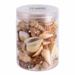 Coupon 🔔 12 Pack: Natural Mixed Shells by Ashland® 🎉 -Ashland Sale Store 10627361 1 1