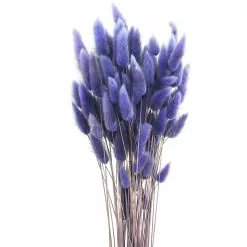 Discount 🧨 8 Pack: Assorted Lagurus Bundle by Ashland® ✨ -Ashland Sale Store 10628609 2