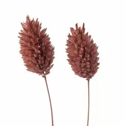 Top 10 ⌛ Coral Poa Grass Bunch by Ashland® 😍 -Ashland Sale Store 10628612 20