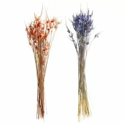 Wholesale ⌛ 8 Pack: Assorted Star Grass Bundle by Ashland® ✔️