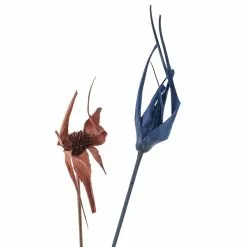 Budget 🧨 Assorted Star Grass Bundle by Ashland® 🧨 7 Budget 🧨 Assorted Star Grass Bundle by Ashland® 🧨 -Ashland Sale Store 10628613 20