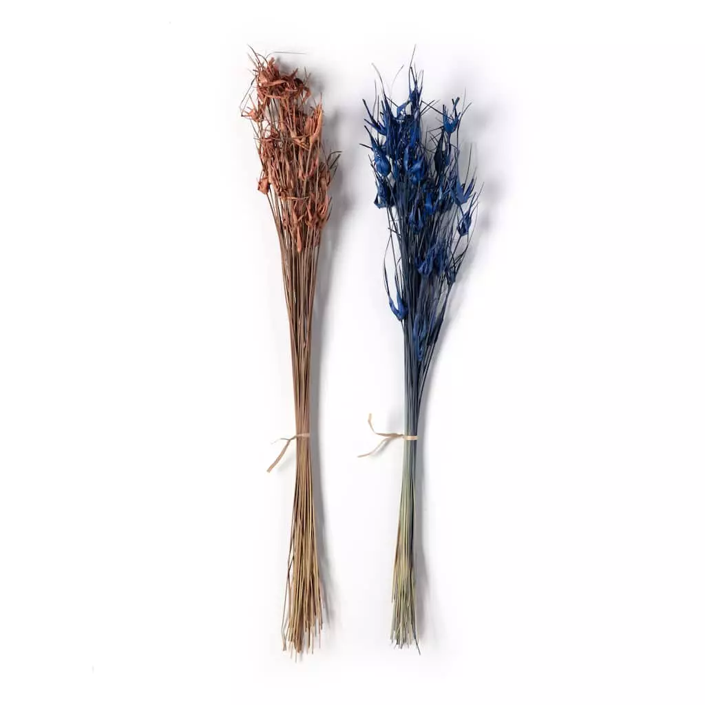 Budget 🧨 Assorted Star Grass Bundle by Ashland® 🧨 3 Budget 🧨 Assorted Star Grass Bundle by Ashland® 🧨