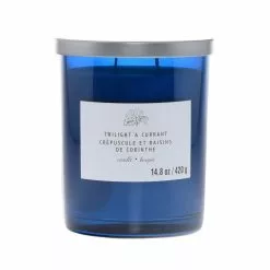 New ⌛ Twilight & Currant 2-Wick Jar Candle by Ashland® 🔥