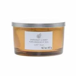 Buy 👍 Grapefruit & Honey 3-Wick Jar Candle by Ashland® ✔️