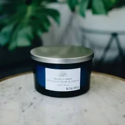 New 🧨 Twilight & Currant 3-Wick Jar Candle by Ashland® ✨ -Ashland Sale Store 10638416 2