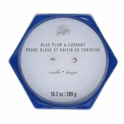 Best deal 🛒 Blue Plum & Currant 2-Wick Jar Candle by Ashland® 👏