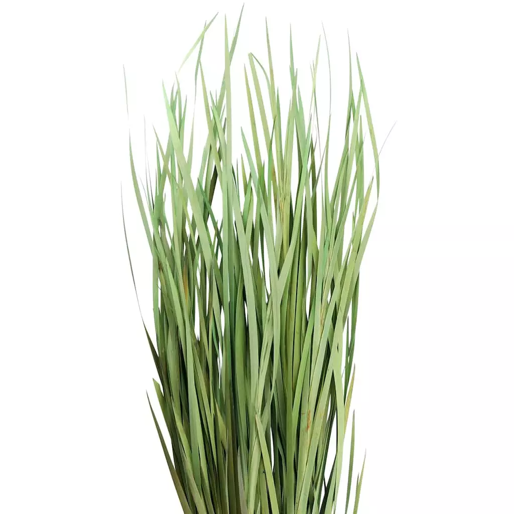 Cheapest ⌛ 8 Pack: Green Magnolia Flax Grass Bundle by Ashland® ⌛ 4 Cheapest ⌛ 8 Pack: Green Magnolia Flax Grass Bundle by Ashland® ⌛ - Image 2