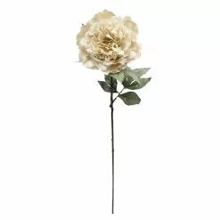 Deals ❤️ Cream Peony Stem by Ashland® ✔️