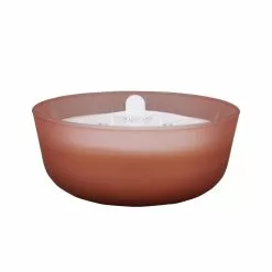 Outlet ⌛ 6 Pack: 18.7oz. Peony & Rose Candle by Ashland® 🥰