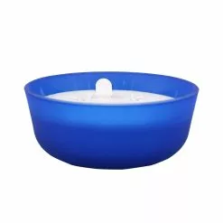 Buy 🔔 18.7oz. Twilight & Currant Candle by Ashland® ✨