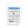 Brand new 🥰 Ocean & Driftwood Scented Wax Melt by Ashland® ⭐ -Ashland Sale Store 10672592 1