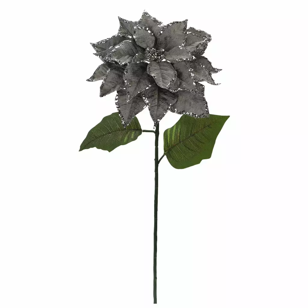 Best reviews of 🛒 Silver Glitter Poinsettia Stem by Ashland® 🥰 3 Best reviews of 🛒 Silver Glitter Poinsettia Stem by Ashland® 🥰