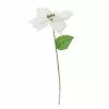 Best reviews of 🤩 White Poinsettia Stem by Ashland® 😉 -Ashland Sale Store 10673410 1