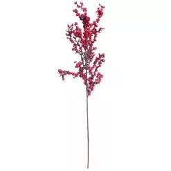 Best reviews of 😍 Red Clustered Berry Stem by Ashland® ✨
