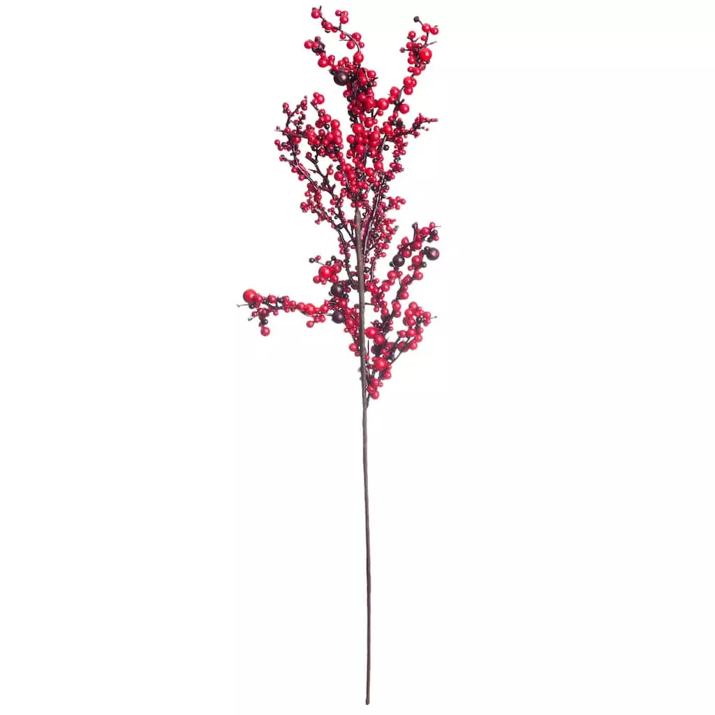 Best reviews of 😍 Red Clustered Berry Stem by Ashland® ✨ 3 Best reviews of 😍 Red Clustered Berry Stem by Ashland® ✨