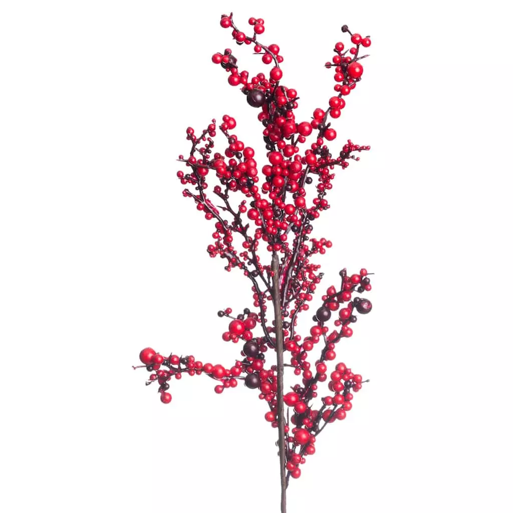 Best reviews of 😍 Red Clustered Berry Stem by Ashland® ✨ 4 Best reviews of 😍 Red Clustered Berry Stem by Ashland® ✨ - Image 2