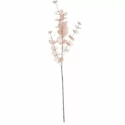 Best reviews of ✨ Pink Iridescent Eucalyptus Stem by Ashland® ✨