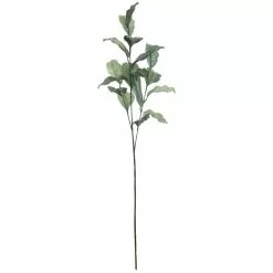 Best Pirce ✔️ Glitter Green Magnolia Leaf Stem by Ashland® 🌟