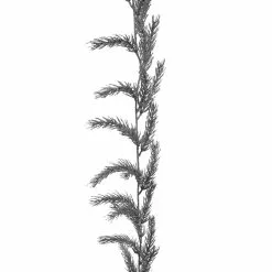 Best reviews of ⌛ 6ft. Silver Pine Garland by Ashland® 🤩