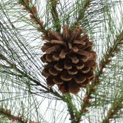 Outlet ⌛ Pine & Pinecone Spray by Ashland® ⌛ -Ashland Sale Store 10674547 2