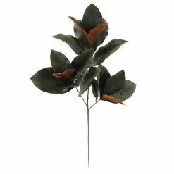 Deals ✔️ Dark Green Magnolia Leaves Stem by Ashland® 🤩