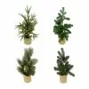 Best Pirce 🛒 Assorted 16" Potted Artificial Christmas Tree by Ashland® ✔️ 1 Best Pirce 🛒 Assorted 16" Potted Artificial Christmas Tree by Ashland® ✔️ -Ashland Sale Store 10675197 1
