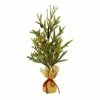 Brand new 🎉 24" Pine Tree with Pinecones in Burlap Bag by Ashland® 🥰 -Ashland Sale Store 10675198 1