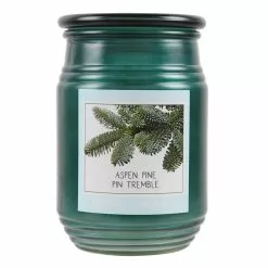 Cheap ✨ Aspen Pine Jar Candle by Ashland® ❤️