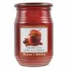 Promo 🛒 Cinnamon Apples Jar Candle by Ashland® 🎉 -Ashland Sale Store 10675793 1