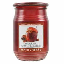 Promo 🛒 Cinnamon Apples Jar Candle by Ashland® 🎉