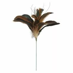 Wholesale ⌛ Natural Brown Peacock Feather Pick by Ashland® 👍