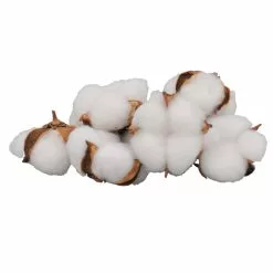 Best reviews of 🔔 White Cotton Pod Decorative Filler by Ashland® 🥰 -Ashland Sale Store 10675976 3