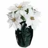 Best Sale 😀 White Potted Poinsettia with Green Foil by Ashland® ⌛ -Ashland Sale Store 10676008 1