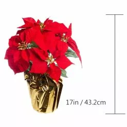Wholesale ✔️ Red Velvet Potted Poinsettia with Gold Foil by Ashland® 😀 -Ashland Sale Store 10676015 3