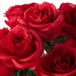Promo 😀 12 Pack: Red Rose Bush by Ashland® ⭐ -Ashland Sale Store 10676296 20