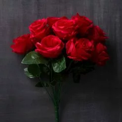 Promo 😀 12 Pack: Red Rose Bush by Ashland® ⭐ -Ashland Sale Store 10676296 22