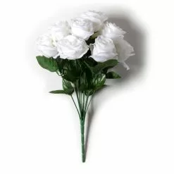 Brand new โญ 12 Pack: Cream Rose Bush by Ashland® โจ