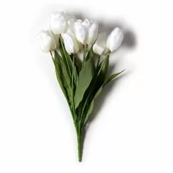 Brand new ๐ 12 Pack: White Tulip Bush by Ashland® ๐