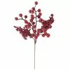 Best deal ⭐ Red Berry Pick by Ashland® 🌟 1 Best deal ⭐ Red Berry Pick by Ashland® 🌟 -Ashland Sale Store 10676550 1