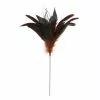 Cheap ✨ Chocolate Peacock Feather Pick by Ashland® 😀