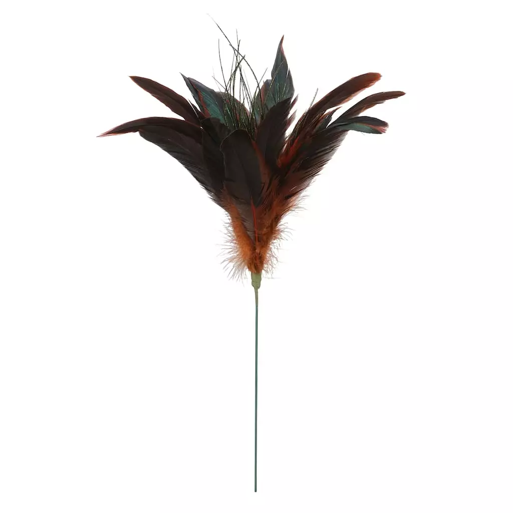 Cheap โจ Chocolate Peacock Feather Pick by Ashland® ๐ 3 Cheap โจ Chocolate Peacock Feather Pick by Ashland® ๐