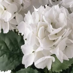 New ✔️ 12 Pack: White Hydrangea Bush by Ashland® 🌟 -Ashland Sale Store 10677450 20 1