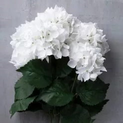 Best Sale ⌛ White Hydrangea Bush by Ashland® 😉 -Ashland Sale Store 10677450 22