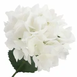 New ✔️ 12 Pack: White Hydrangea Bush by Ashland® 🌟 -Ashland Sale Store 10677450 3 1