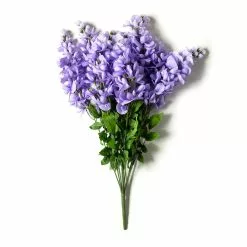 Budget ⭐ 12 Pack: Purple Wisteria Bush by Ashland® 🔥 -Ashland Sale Store 10677451 21 1