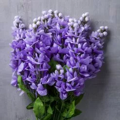 Budget ⭐ 12 Pack: Purple Wisteria Bush by Ashland® 🔥 -Ashland Sale Store 10677451 22 1